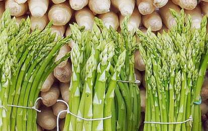 Tout savoir sur les asperges : le légume des beaux jours