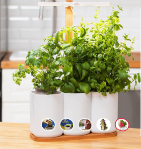 fete-des-meres-pret-pousser