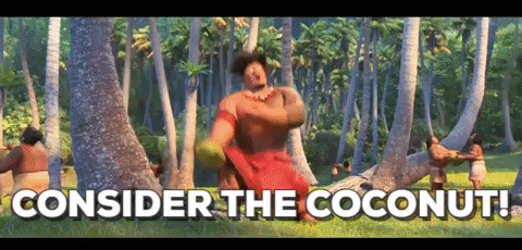 gif-coco
