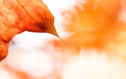 Top 5 des astuces pour éviter de s’enrhumer en Automne