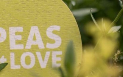 Peas&Love ou comment avoir un potager entretenu en plein centre-ville.