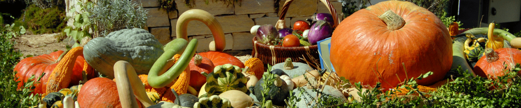 slow-food-valeur
