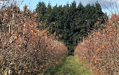 Visite chez les Coteaux Nantais à Remouillé et Vertou