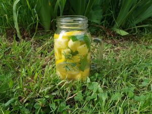 eau-infusee