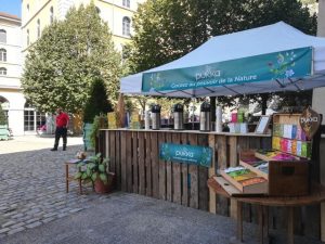 detox-party-stand-pukka