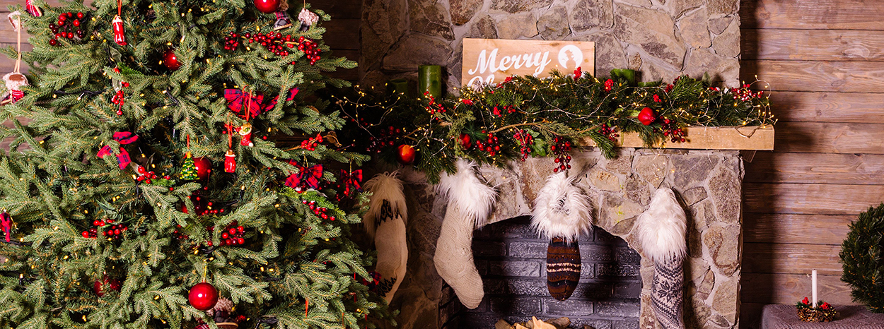 Sapin de noël : comment lui offrir une seconde vie, en le recyclant Sapin de noël : comment lui offrir une seconde vie, en le recyclant