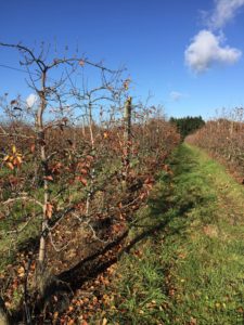ecolive-days-coteaux-nantais